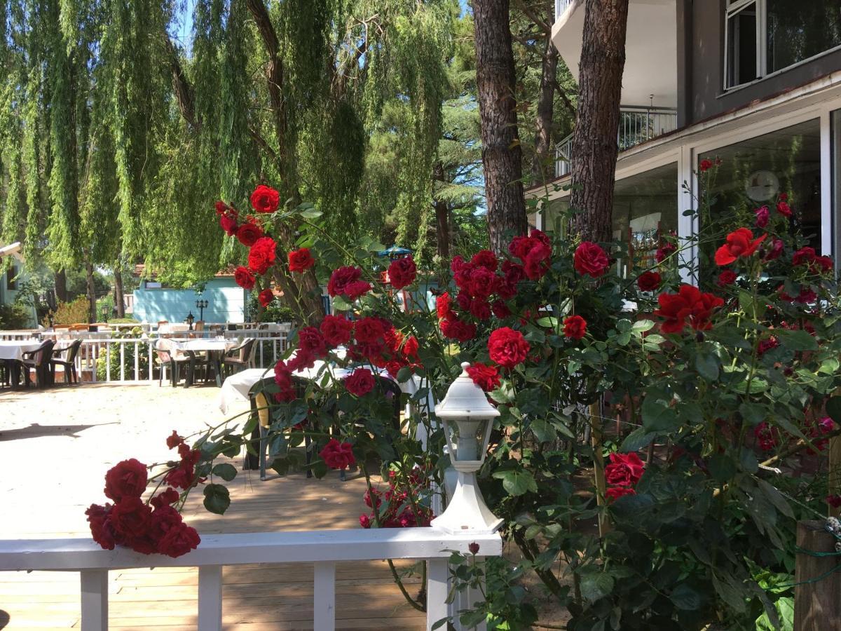 Готель Shila Doert Mevsim Tatil Koyu Шіле Екстер'єр фото
